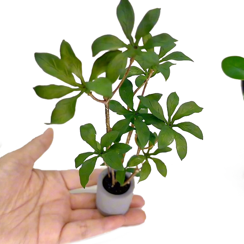 Bonsai Garden Pot - 1:6 인형의 집 미니어처 화분 모델,