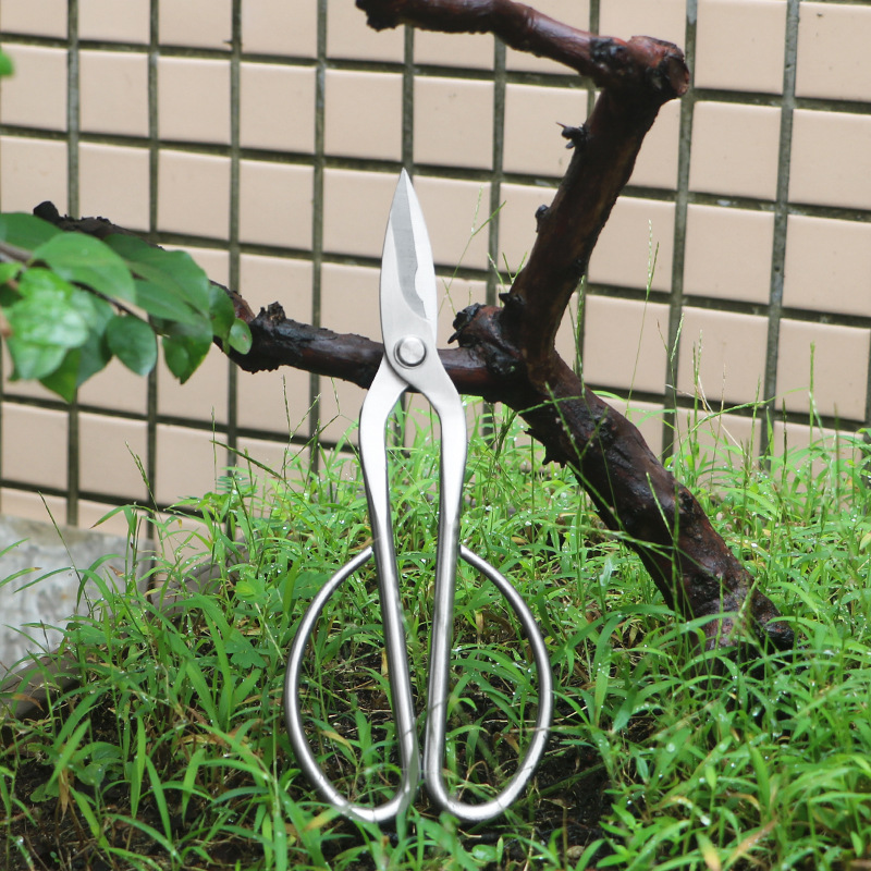Concave Branch Cutter - 올스틸 정원 가위, 잎, 새싹, 꽃