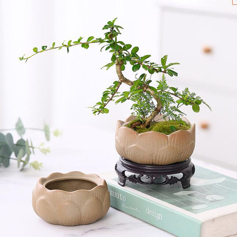 Bonsai Garden Art - 굵은 도자기 연꽃 녹색 식물 화분,