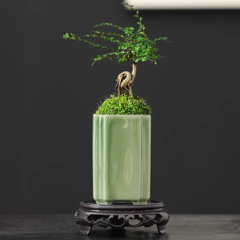 Bonsai Garden Art - 도자기 사각형 청자 유약 꽃병 분재