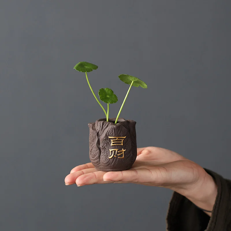 크리 에이 티브 보라색 점토 차 애완 동물 손가락 집  - Bonsai Garden Pot 리뷰 및 가격