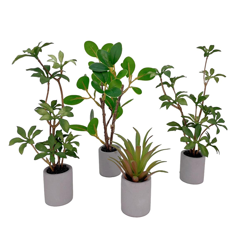 1:6 인형의 집 미니어처 화분 모델, 녹색 잎 식물  - Bonsai Garden Pot 리뷰 및 가격