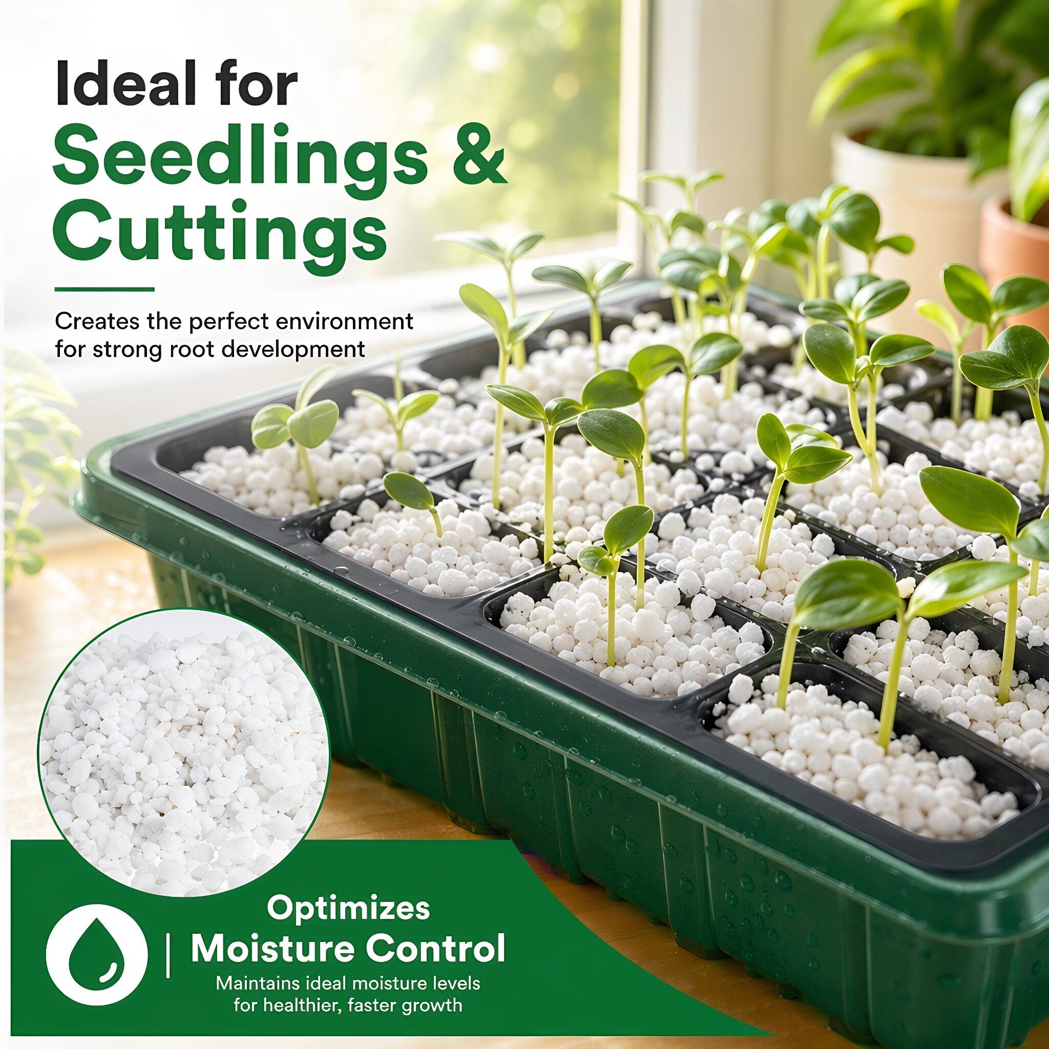 펄라이트 원예용 토양 개량제, 실내 식물 및 다육식물  - Horticulture Soil Perlite 리뷰 및 가격