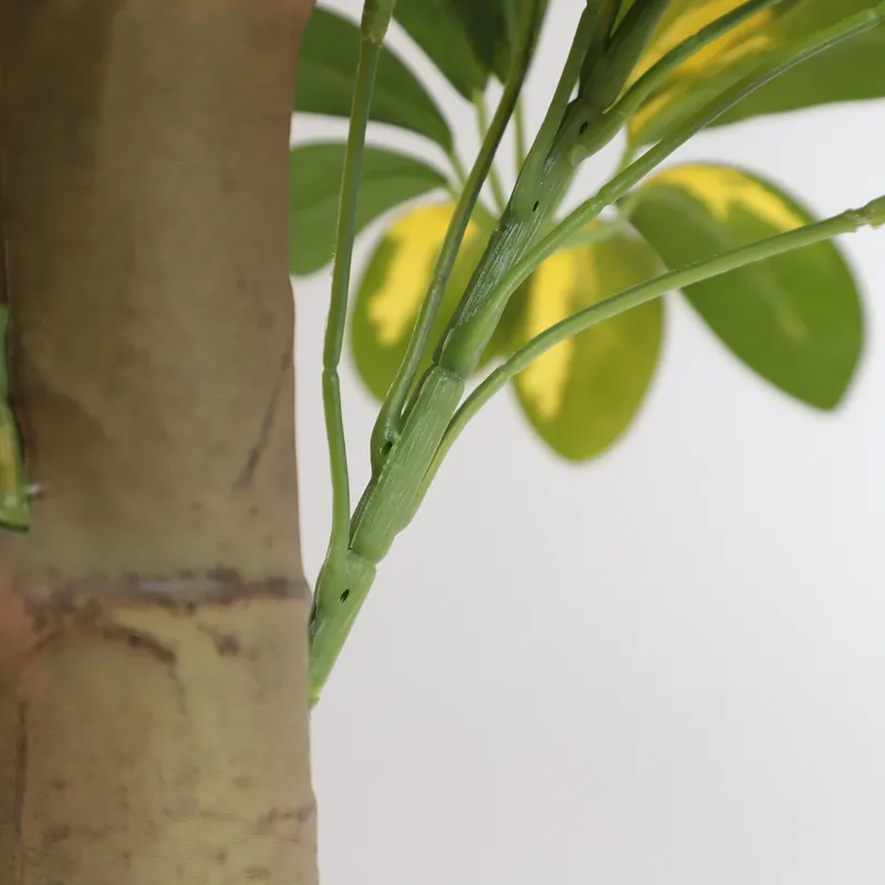 도매 공장 직판 가격 인조 분재 식물 쉐플라라, 가정  - Bonsai Garden Price 리뷰 및 가격