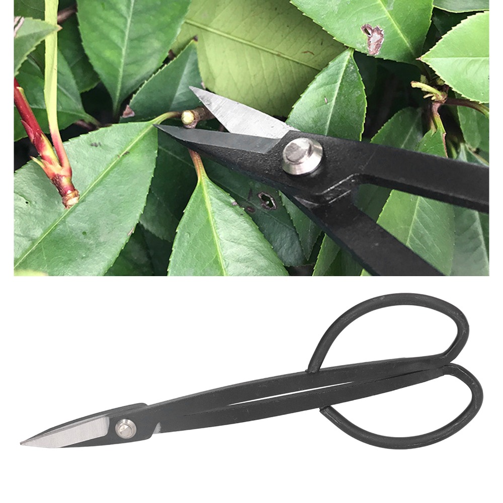 스테인레스 스틸 분재 가위 나비 손잡이 검정색 식물 가 - Concave Branch Cutter 리뷰 및 가격