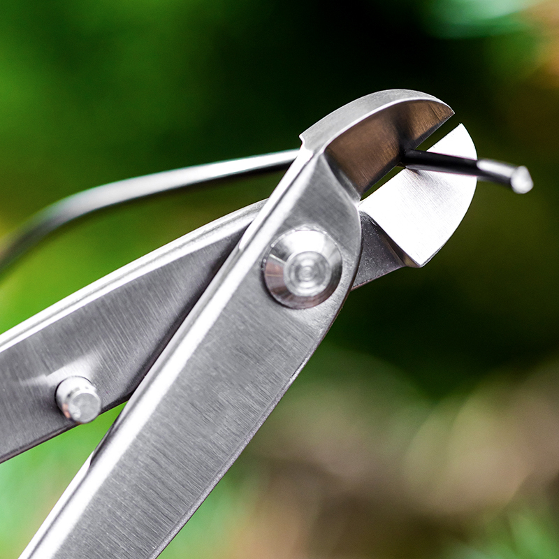 전문 분재 도구 세트 고경도 21cm 스테인리스 스틸  - Concave Branch Cutter 리뷰 및 가격