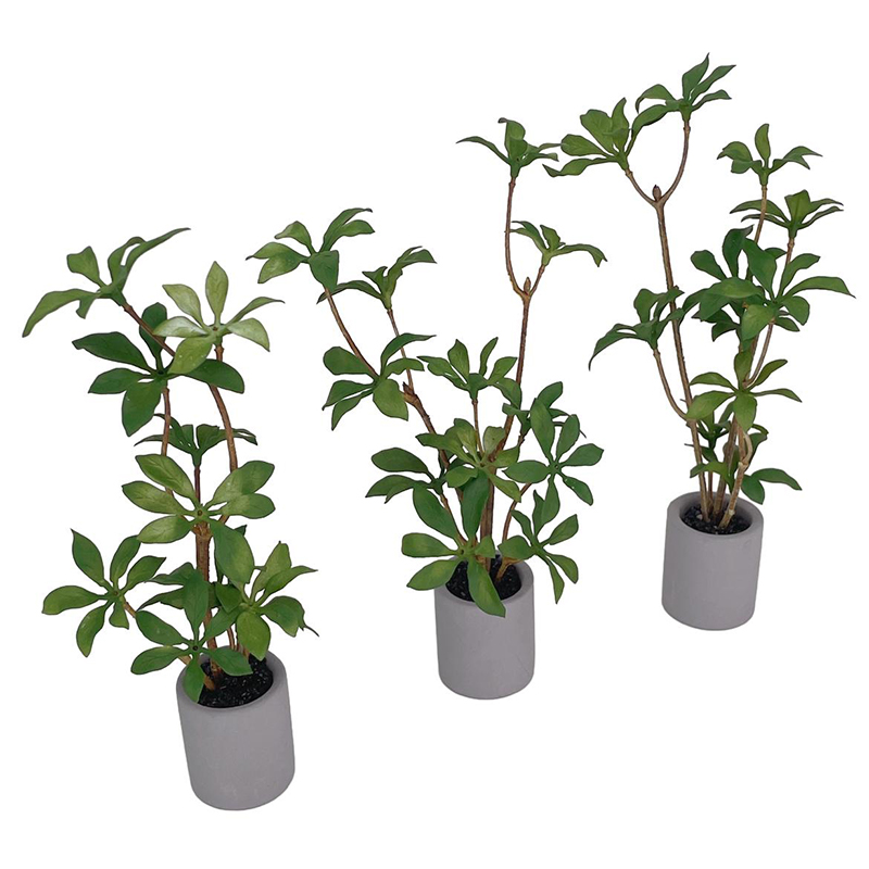 1:6 인형의 집 미니어처 화분, 녹색 잎 식물, 분재 - Bonsai Garden Pot 리뷰 및 가격