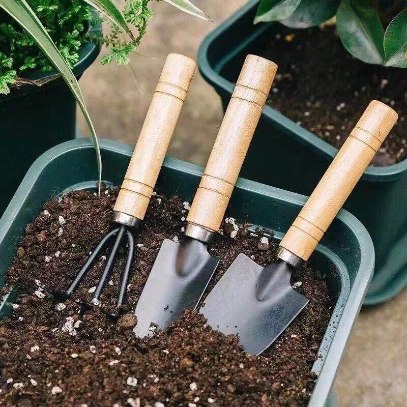 3PC/1세트 미니 원예 도구 세트 휴대용 소형 원예  - Soil Scoop Tool 리뷰 및 가격