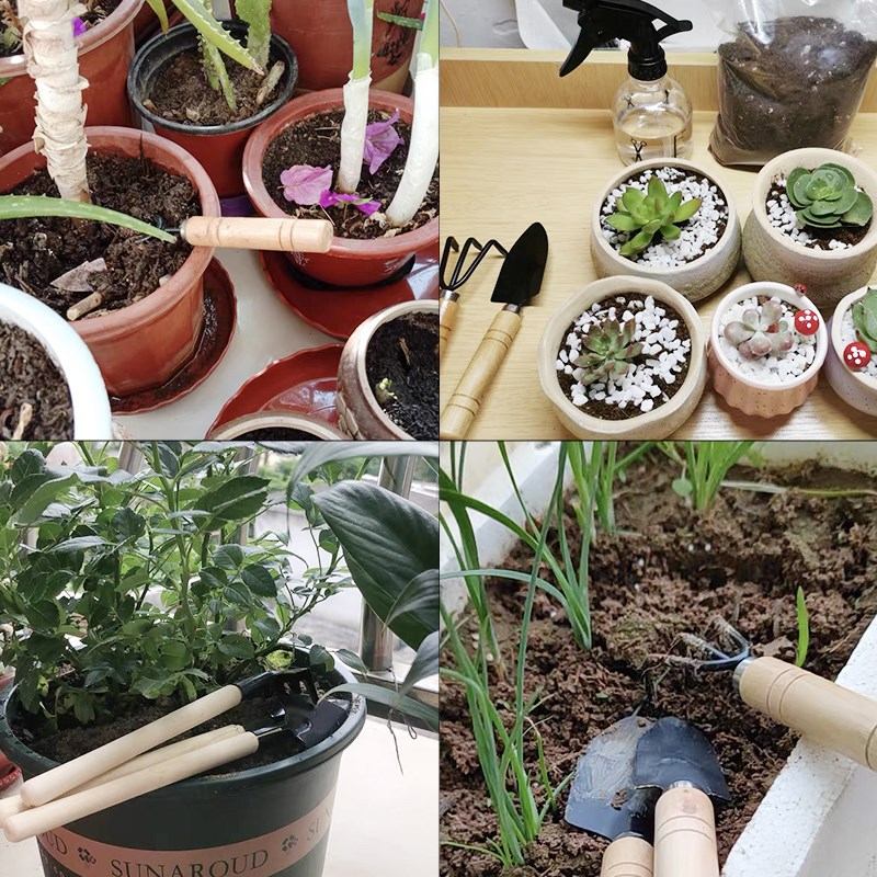 3PC/1세트 미니 원예 도구 세트 휴대용 소형 원예  - Soil Scoop Tool 리뷰 및 가격