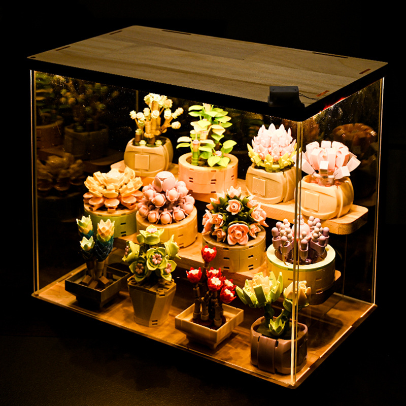 DIY MOC 화분에 심은 식물 다육 식물 선인장 안개 - Bonsai Garden Experts 리뷰 및 가격