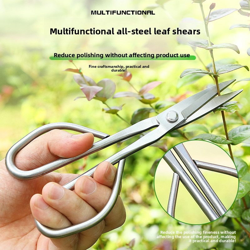 부드러운 잎 가위 분재 도구 가지 가위 연장형 스테인리 - Concave Branch Cutter 리뷰 및 가격
