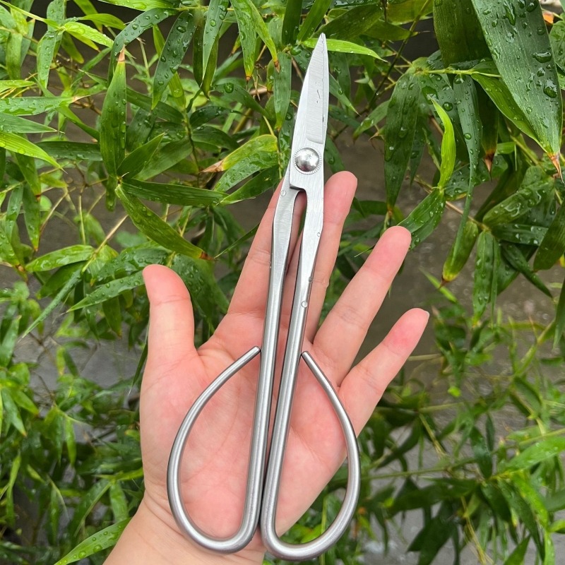 부드러운 잎 가위 분재 도구 가지 가위 연장형 스테인리 - Concave Branch Cutter 리뷰 및 가격