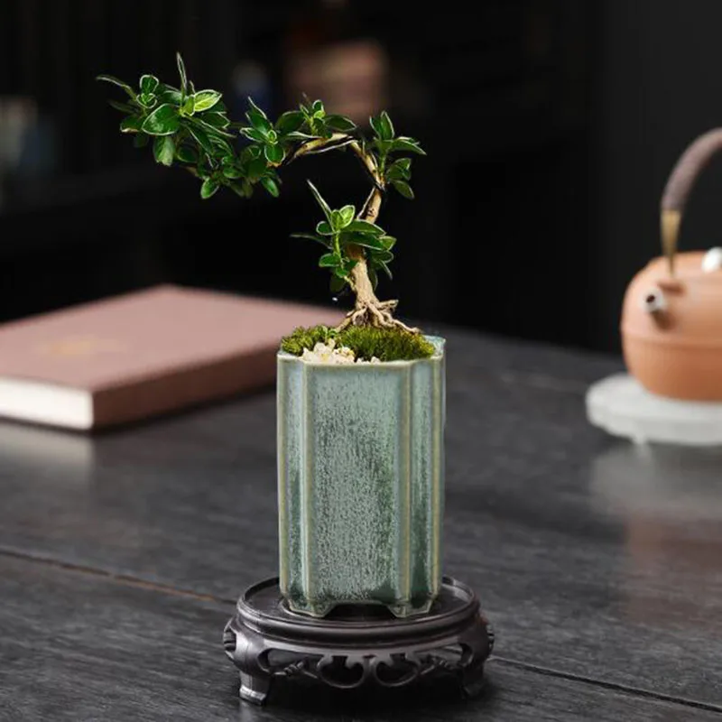 도자기 사각형 청자 유약 꽃병 분재 화분 공예품 예술  - Bonsai Garden Art 리뷰 및 가격
