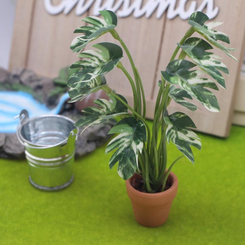 New.1PC 1/12 인형 집 시뮬레이션 몬스테라 녹 - Bonsai Gardener 리뷰 및 가격