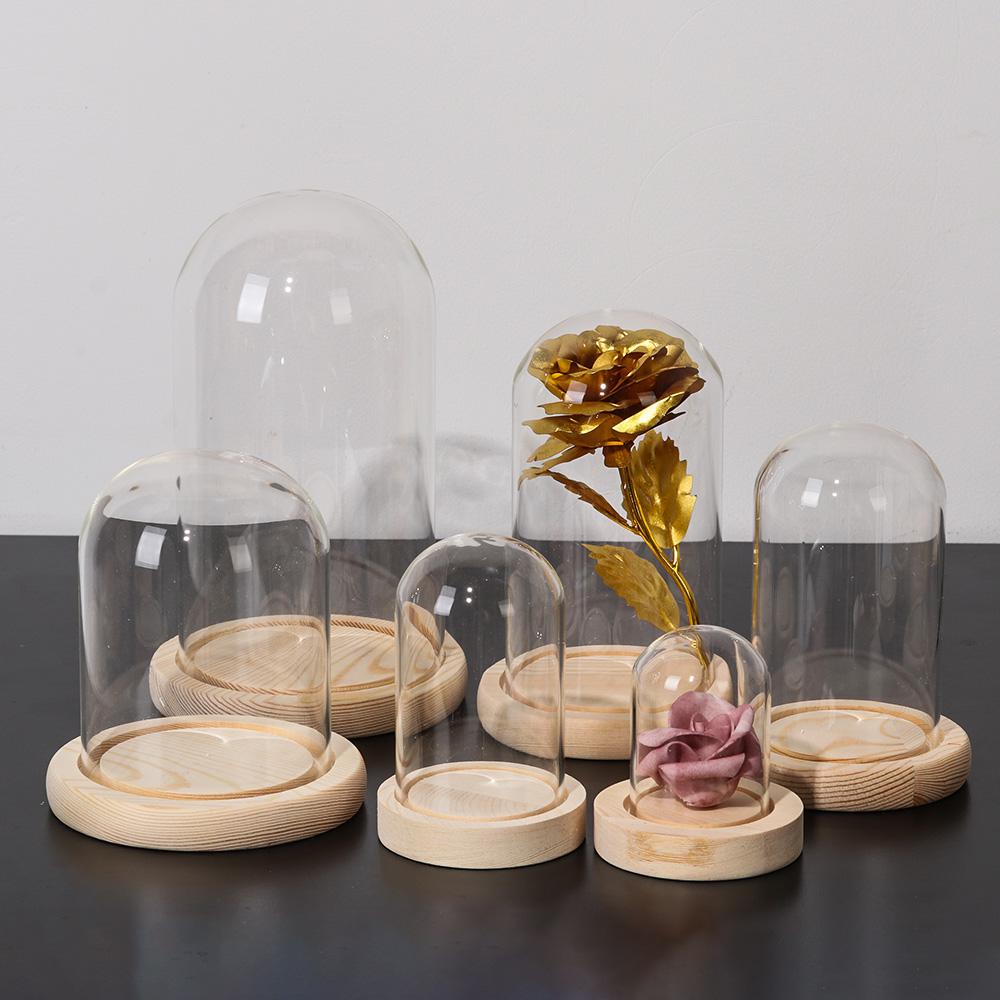 유리 클로슈 항아리 진열대 커버 테라리움 병 나무 받침 - Display Stand Wood 리뷰 및 가격