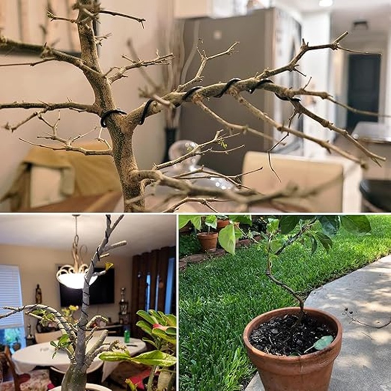 1mm 검정 알루미늄 분재 와이어, 30m 식물 훈련, - Bonsai Garden Art 리뷰 및 가격