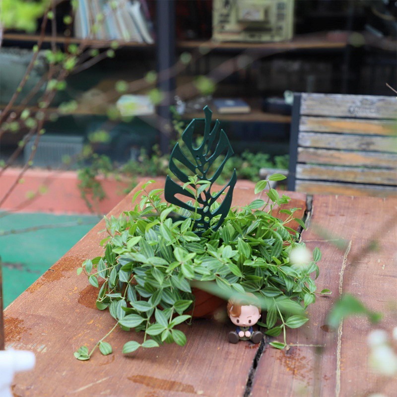 식물 등반 지원 스탠드 꽃 고정 격자 원예 화분 분재  - Bonsai Garden Pot 리뷰 및 가격